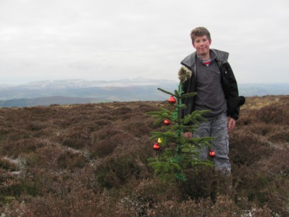 Chrismas tree in a remote spot near the summit of Mynydd Llangorse