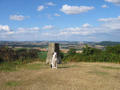 Man's best friend - yes I love trigpoints (only joking Bob)