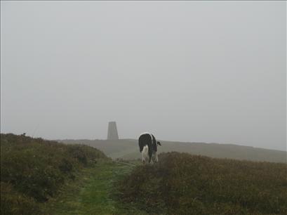 Crug Mawr trigpoint in the mist