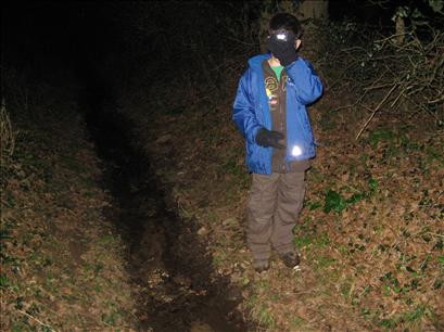 Will dazled by my head torch next to the path / stream