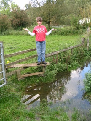 Stile or diving board?