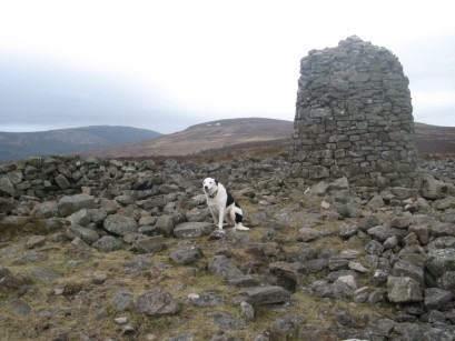 Garn Wen