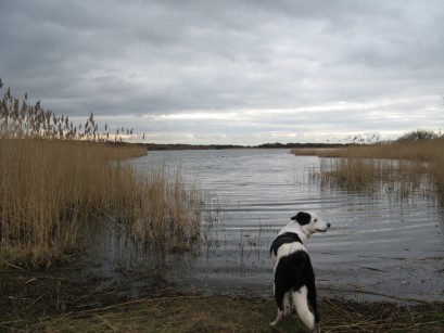 Kenfig Pool