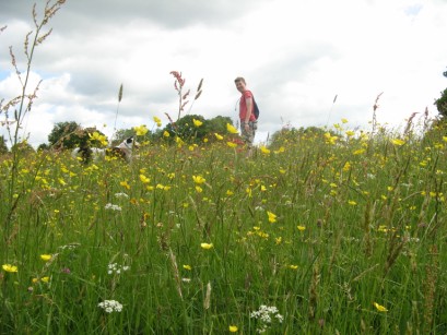 Will and Bob in a meadow near Stone