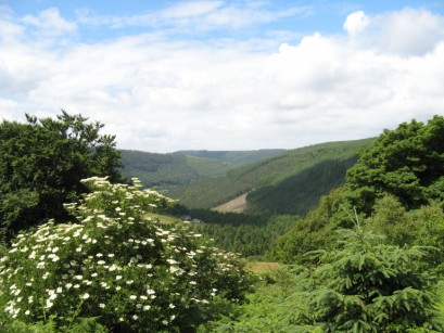 Forest Drive, Cwmcarn