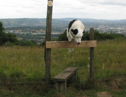 The stile is engraved "Dog Leap"