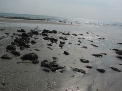 Deserted beach at Wiseman's Bridge