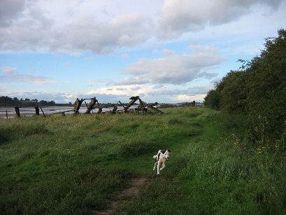 Bob at the barges graveyard