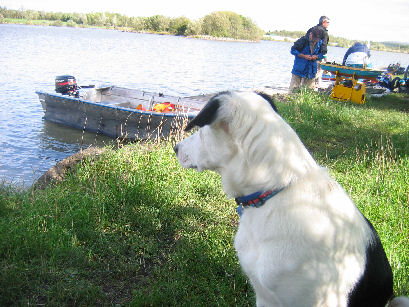 Bob was transfixed by the boats