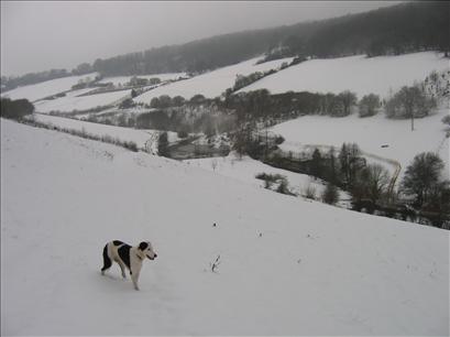 Valley between Newland and Redbrook