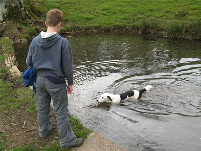 Bob swimming