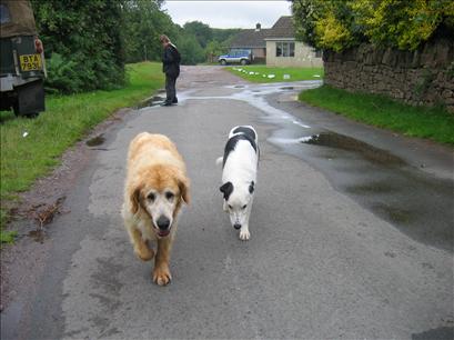 Sid and Bob in Bream, with Will behind