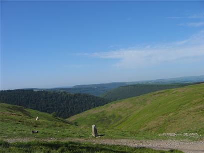 Mynydd Llwyd