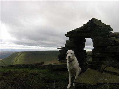 Bob near the crash site. The ridge behind is where we came up