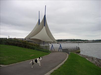 Bob at Cardiff Bay