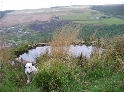 Cwm View