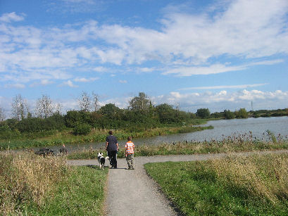 Hendre Lake