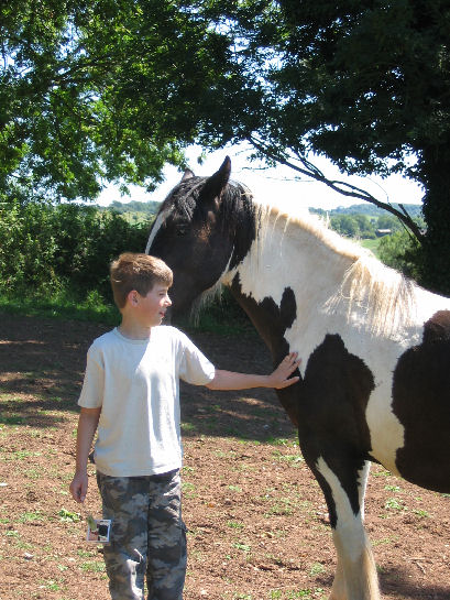 Friendly horse near I See No Ships final cache site