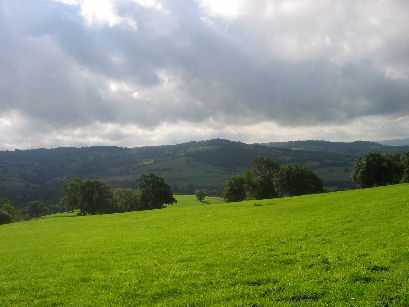 View from Long Hill Wood; the grass really was that green too!