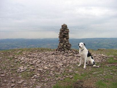 Man's best friend at Lord Hereford's Knob