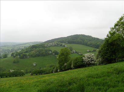 Newland from near Pingry Lane