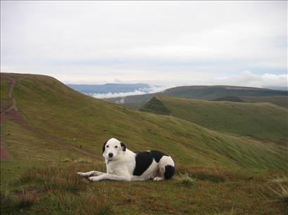 Pen y Fan on the left, take from Corn Du