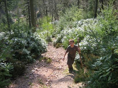 Will in the Quantocks