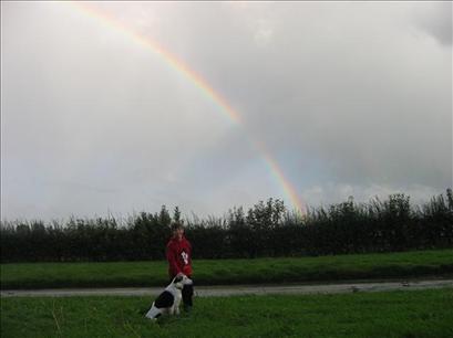 Rainbow after Don't push me...