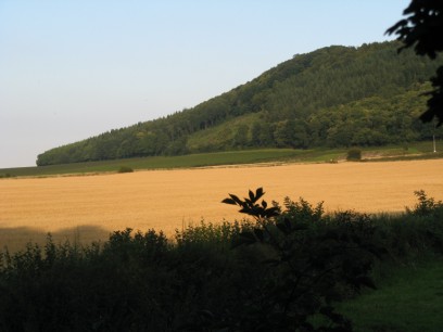 Evening sun on a hay field near Ross on Wye