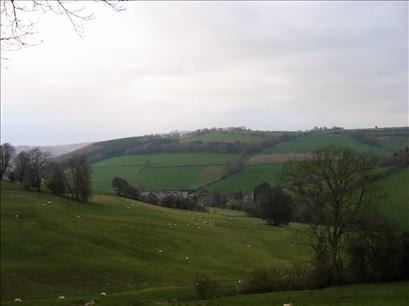 View from Slade Brook # 1
