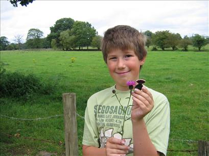 Will with a geocoin  near Ludgrove