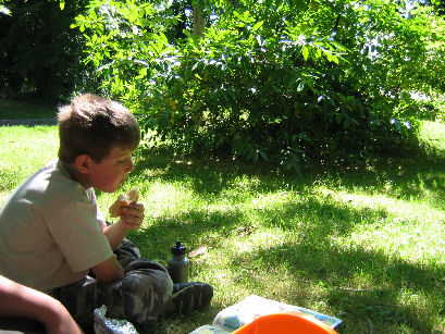 Picnic in the shade